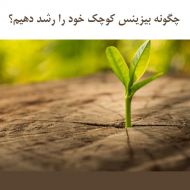 چگونه بیزینس کوچک خود را رشد دهیم؟ بخش دوم