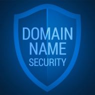 حریم خصوصی نام دامنه